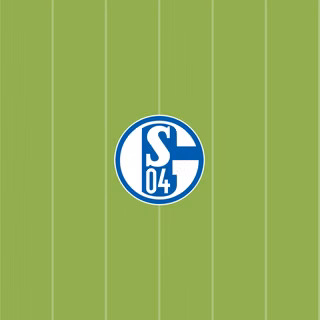 Schalke 04