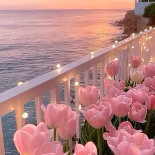 Pretty pink roses