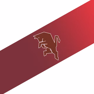Torino FC