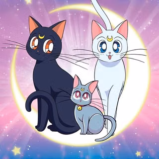 Sailor Moon 
