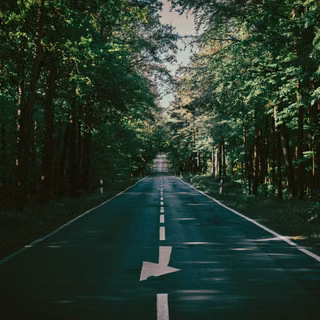 Road In The Woods