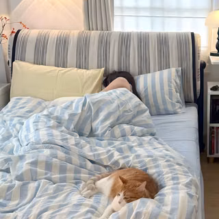 Bed Room Cat Girl