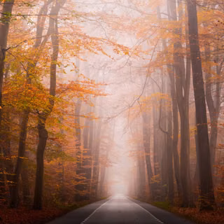 Autumn Roads