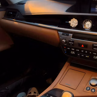 Car Driver Driving