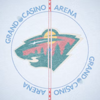 Minnesota Wild
