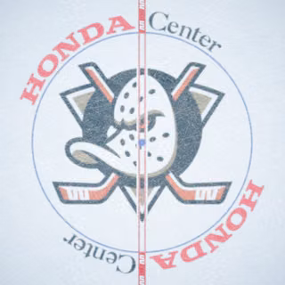 Anaheim Ducks
