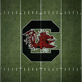 South Carolina Gamecocks