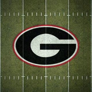 Georgia Bulldogs