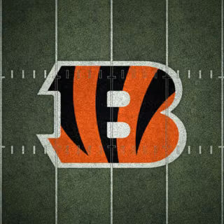 Cincinnati Bengals