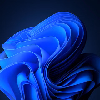 win 11