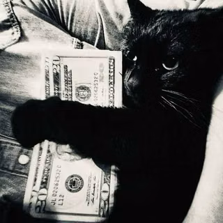 My catt <3