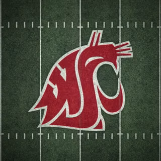 Washington State Cougars