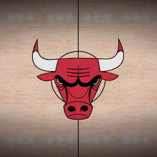 Chicago Bulls