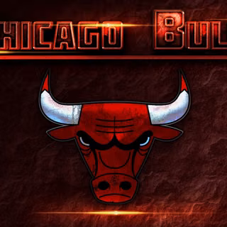 Chicago Bulls