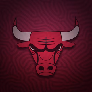 Chicago Bulls