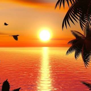 This picture is a sea sunset:)