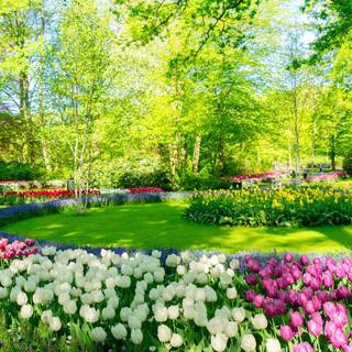 This is a park and look there are many many kinds of flower I like to smell them it is so beautiful:))