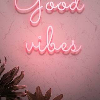 Good Vibes ONLY!!!
