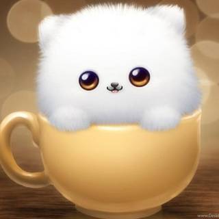 cute cat -_-lI