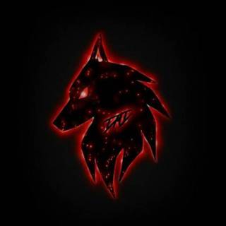 Shadow_wolf_ Wallpapers - Wallpaper Cave