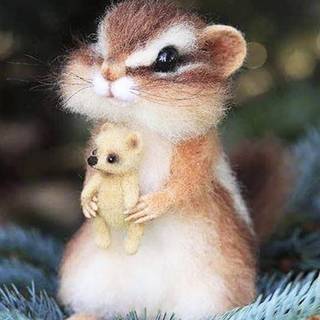 Baby chipmunk 