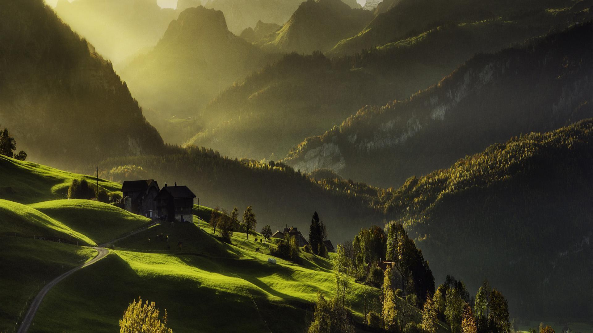 Valley, light, forest, residential, green landscape HD wallpaper