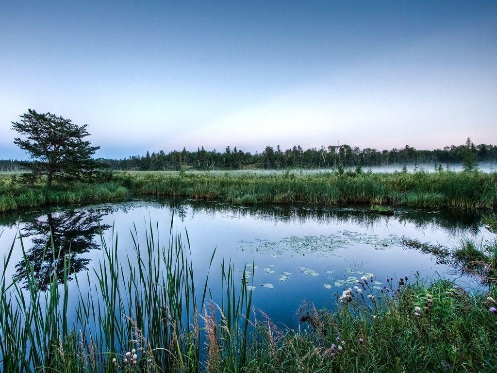 Wallpaper, summer pond, pond, boats, afternoon sun - SeaArt AI