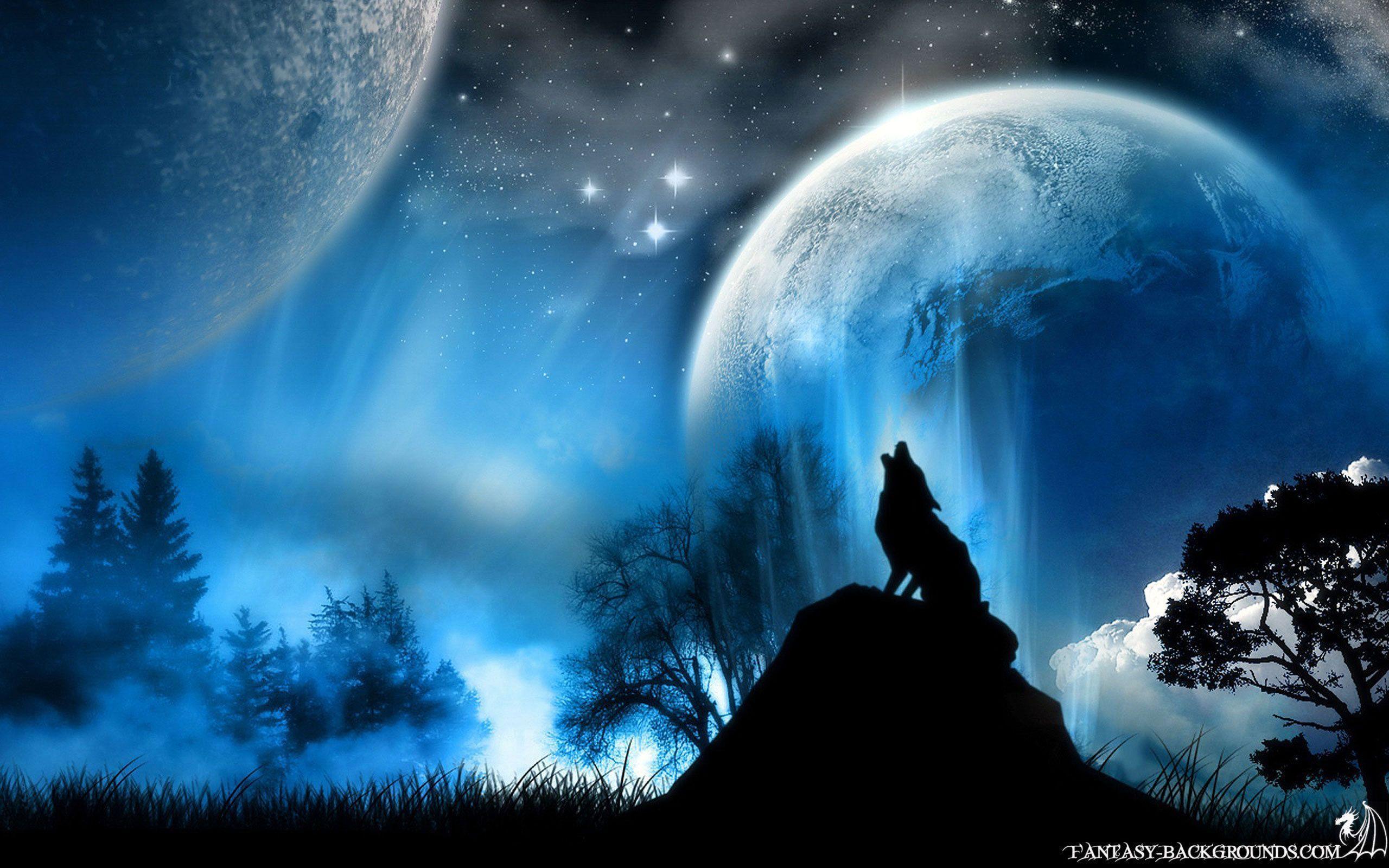 Wolf in the night Wallpaper