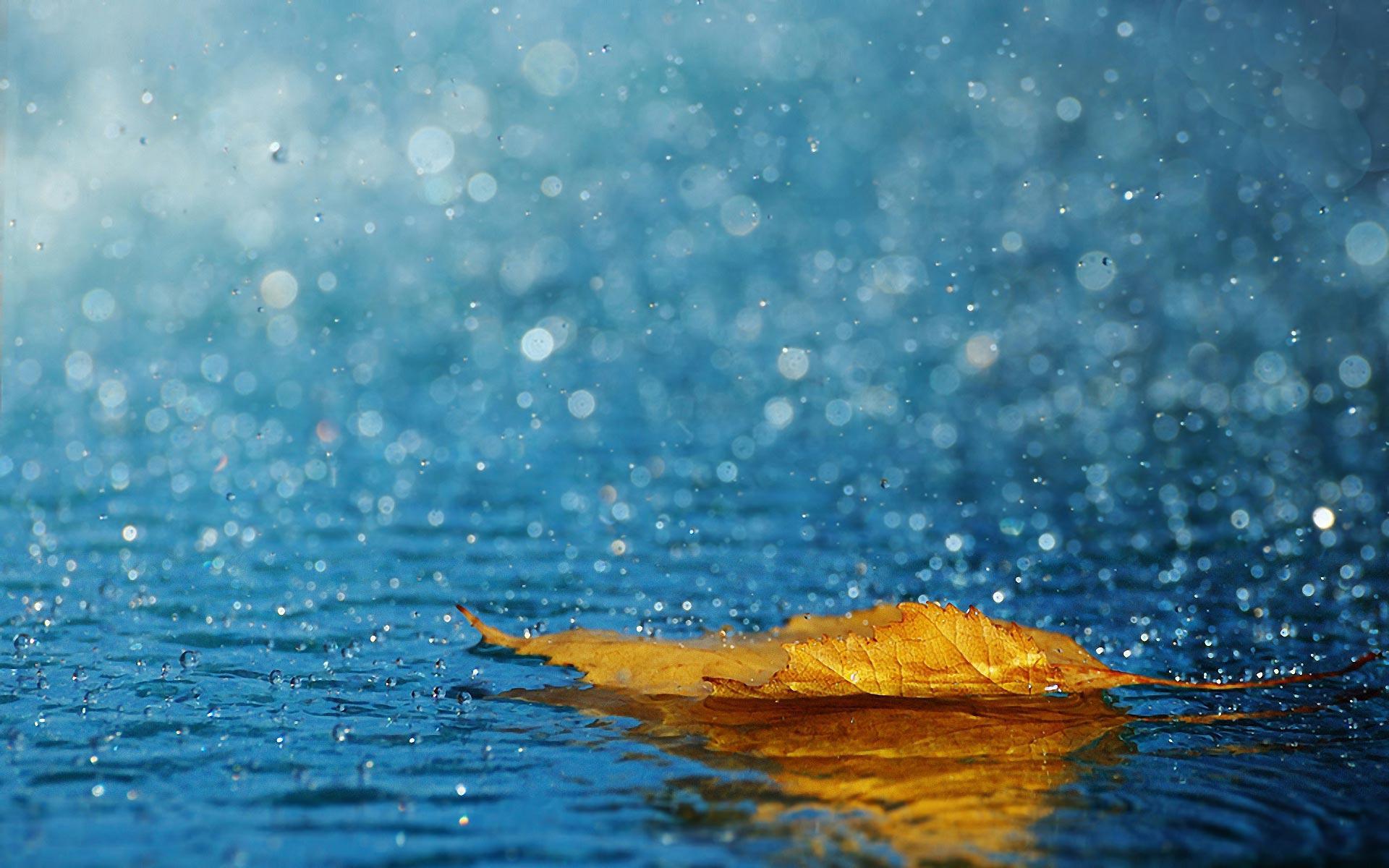 Rain Water Wallpaper Hd