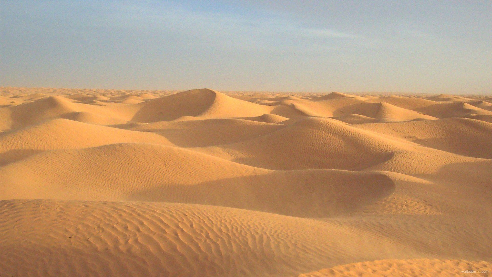 image For > Sand Dunes Wallpaper