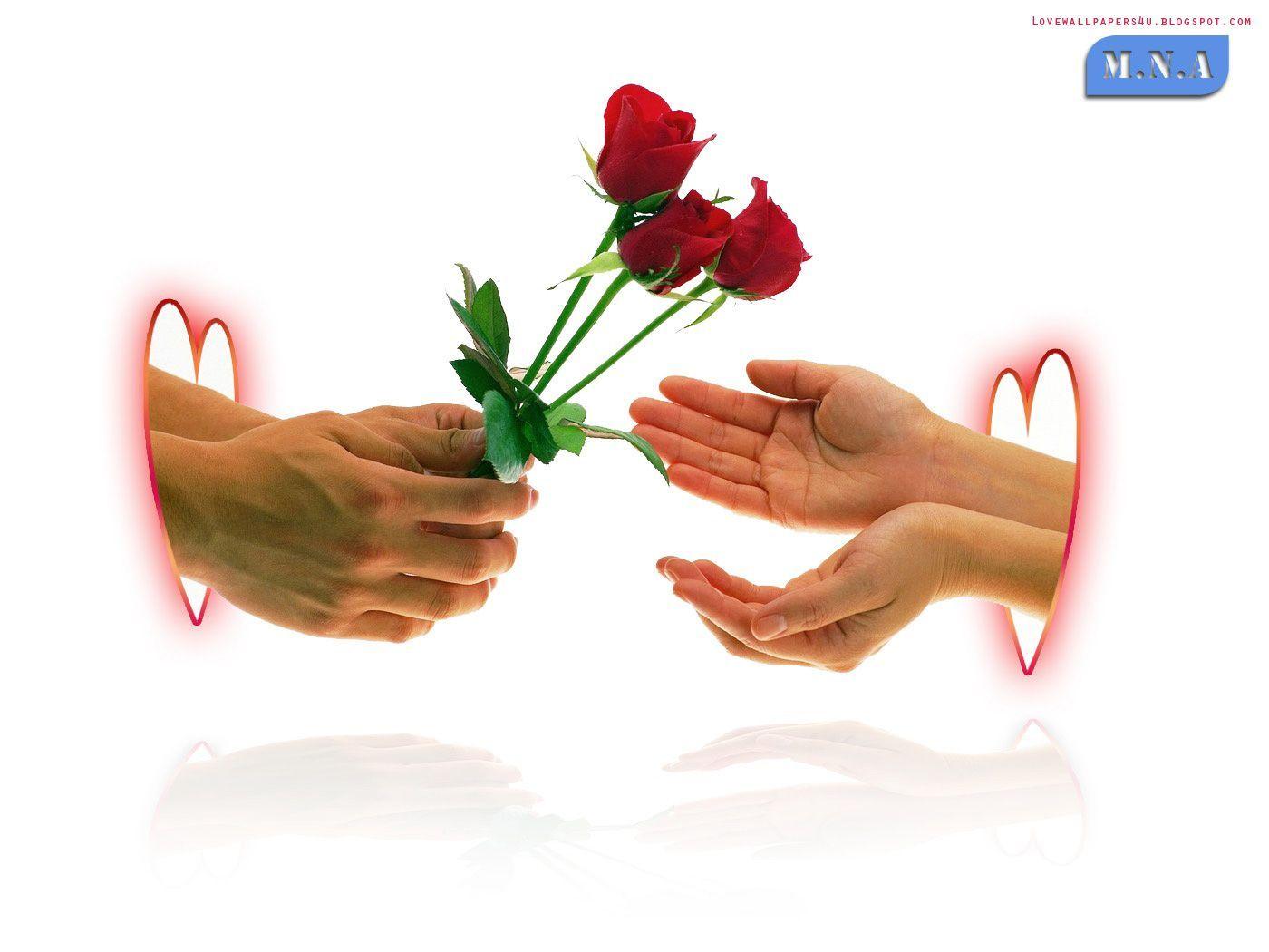 Hand Love Rose Wallpaper Desktop HD Wallpaper. WallscreenHD
