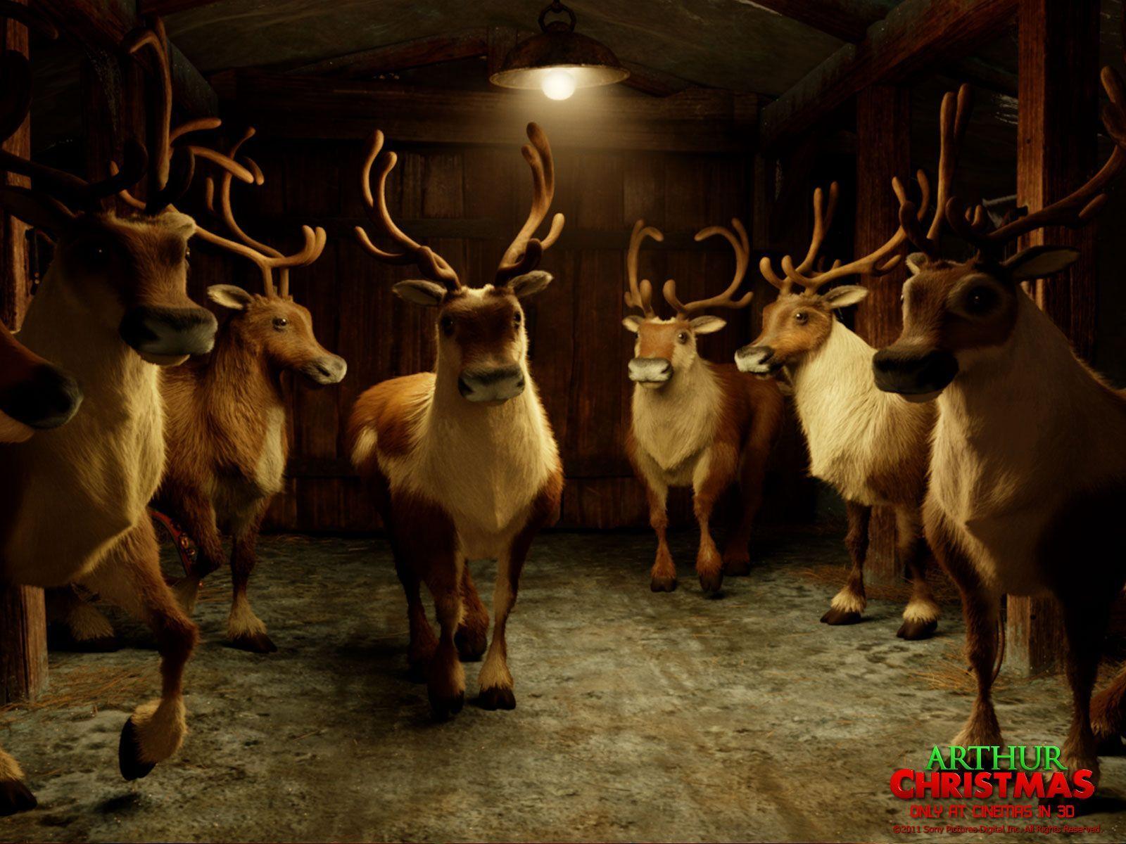 HD wallpaper wildlife deer barn rural area farm counryside winter   Wallpaper Flare