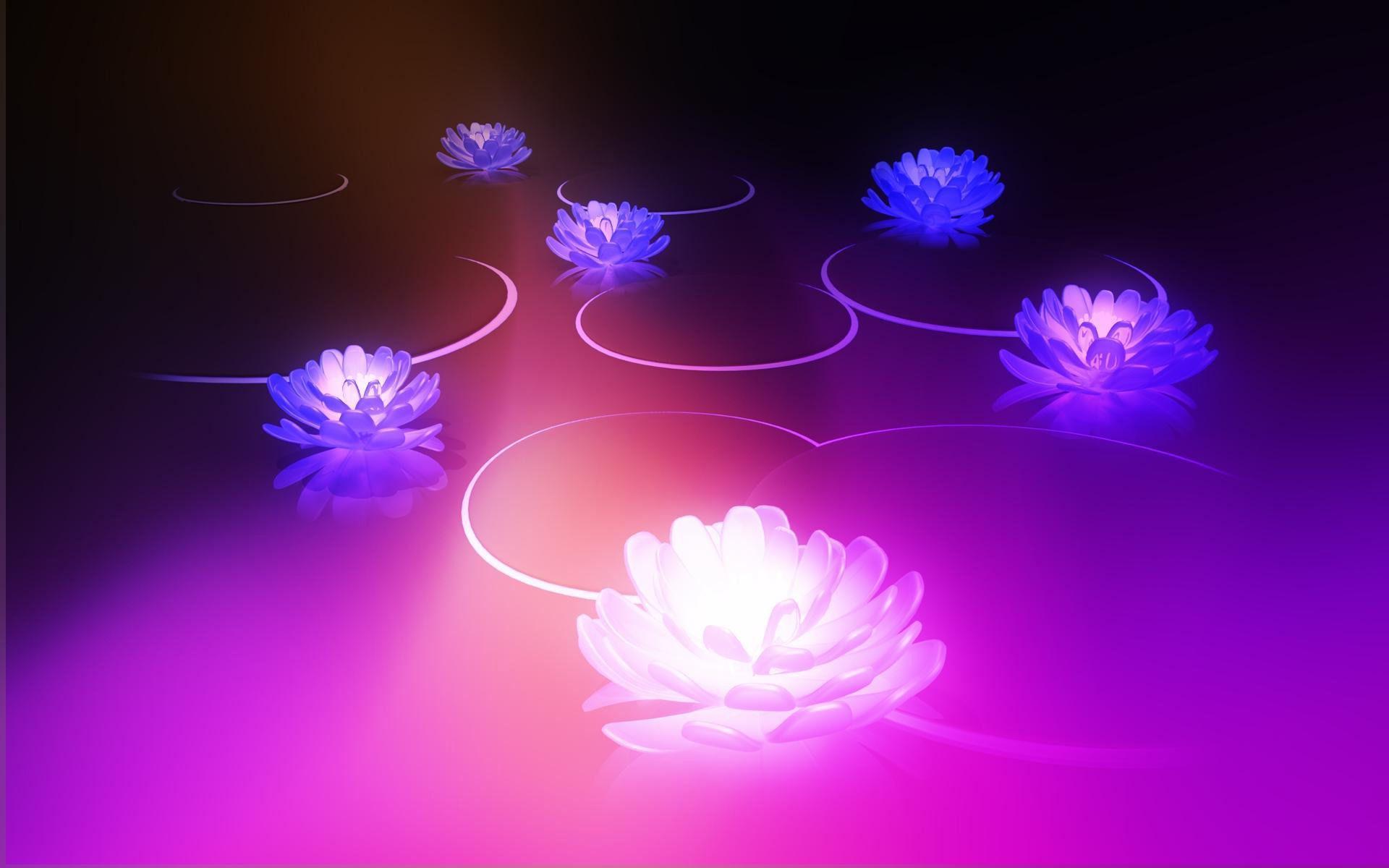 Water Lilies Wallpapers - Wallpaper Cave