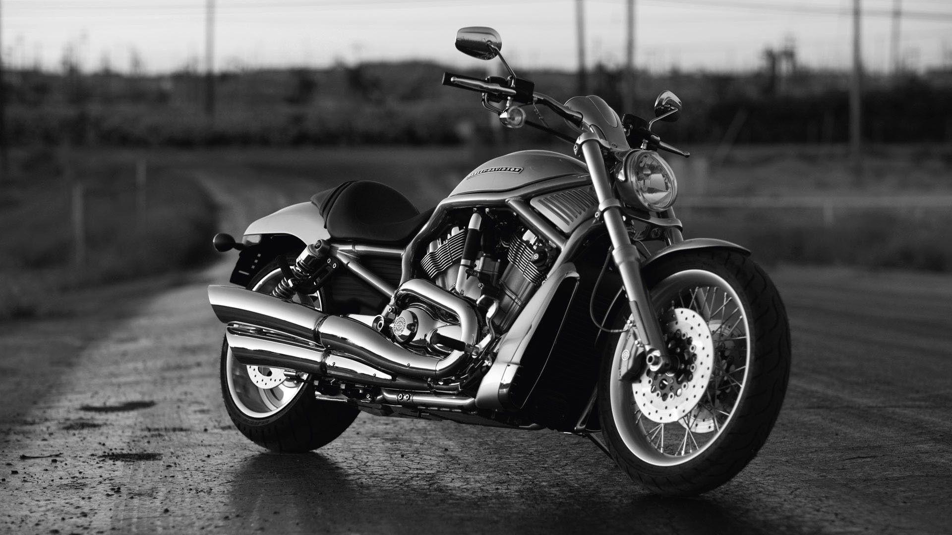 Harley Davidson Motorcycle Wallpaper. Harley Davidson Bike