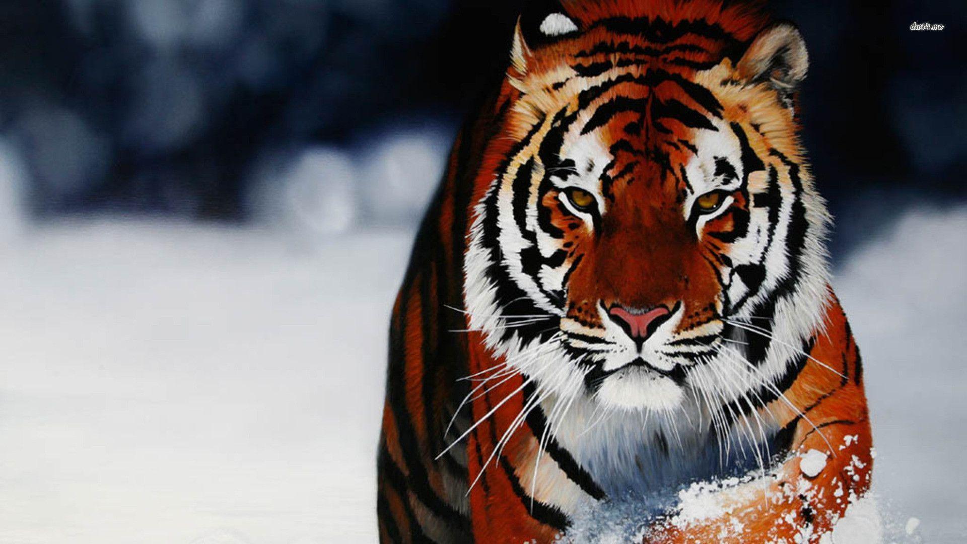 bengal tigers wallpapers