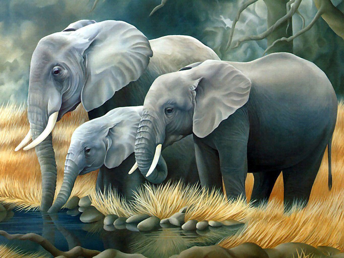 Desktop Wallpaper · Gallery · 3D Art · 3D Animals