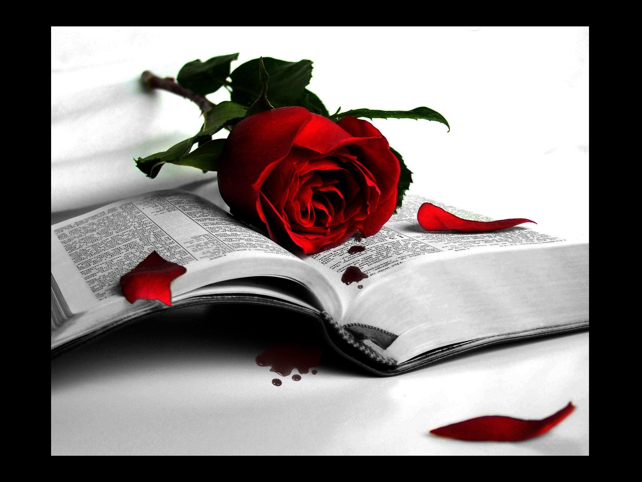 Book Of Broken Hearts Red Love Abstract HD wallpaper #