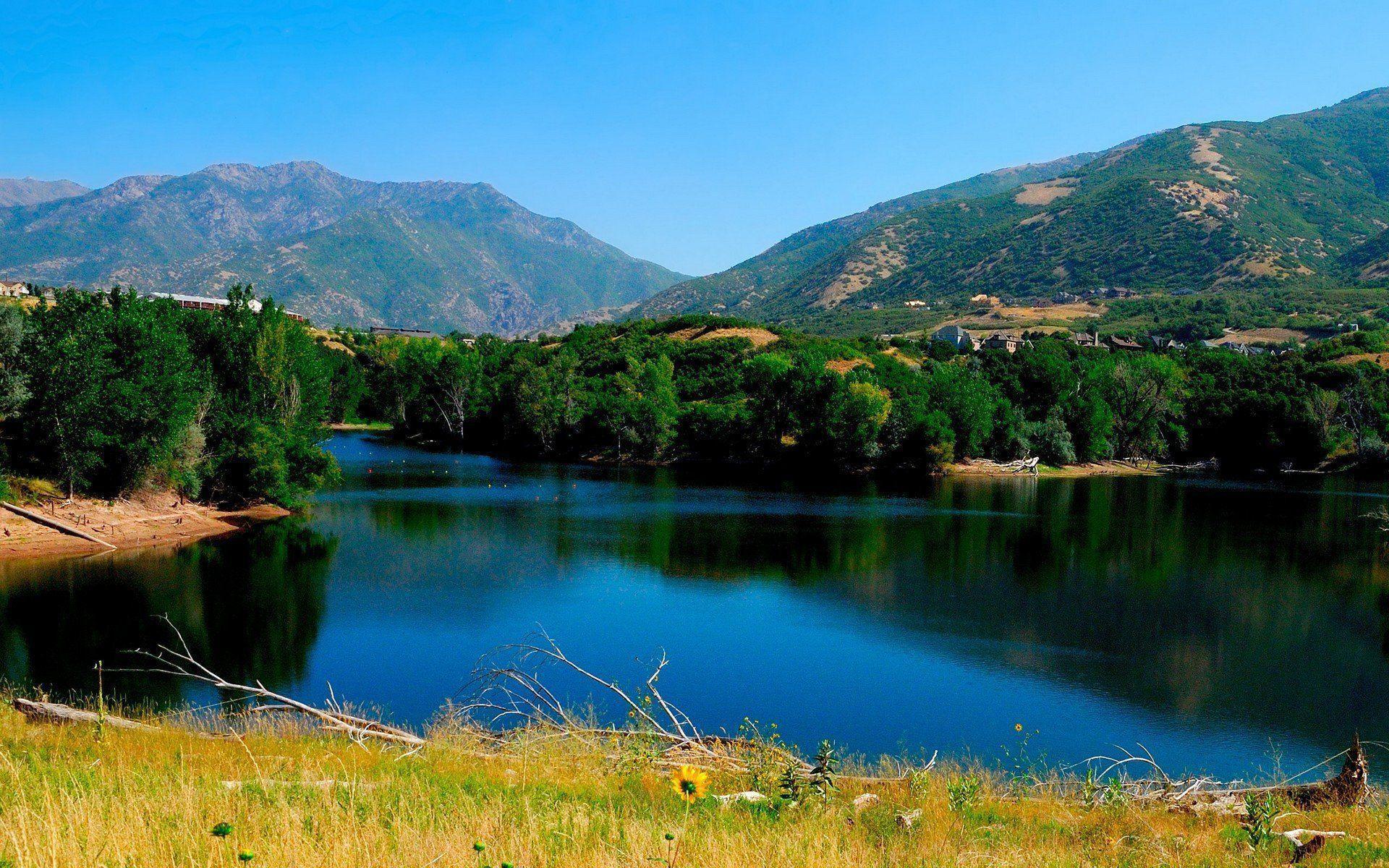 Summer Landscape wallpaper