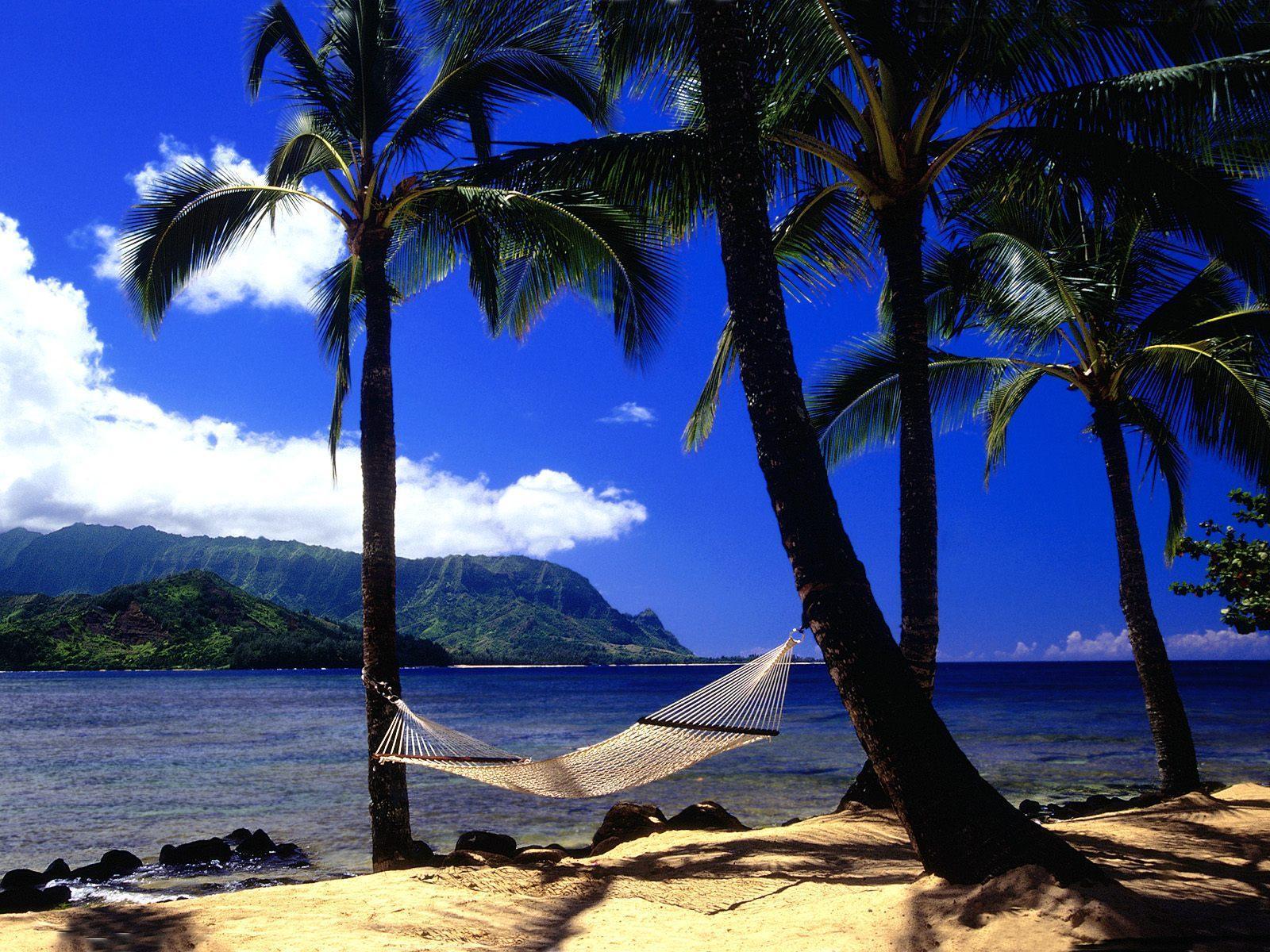 Hawaii Background Images - Wallpaper Cave