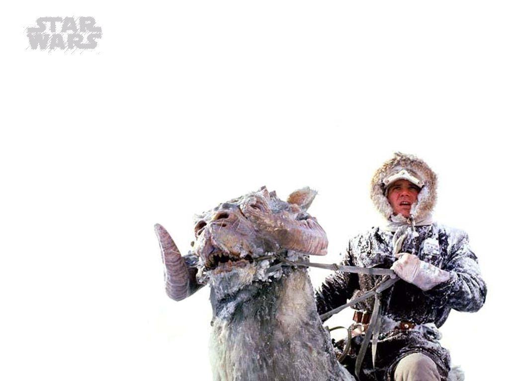 Han Solo Wallpaper Solo Wallpaper