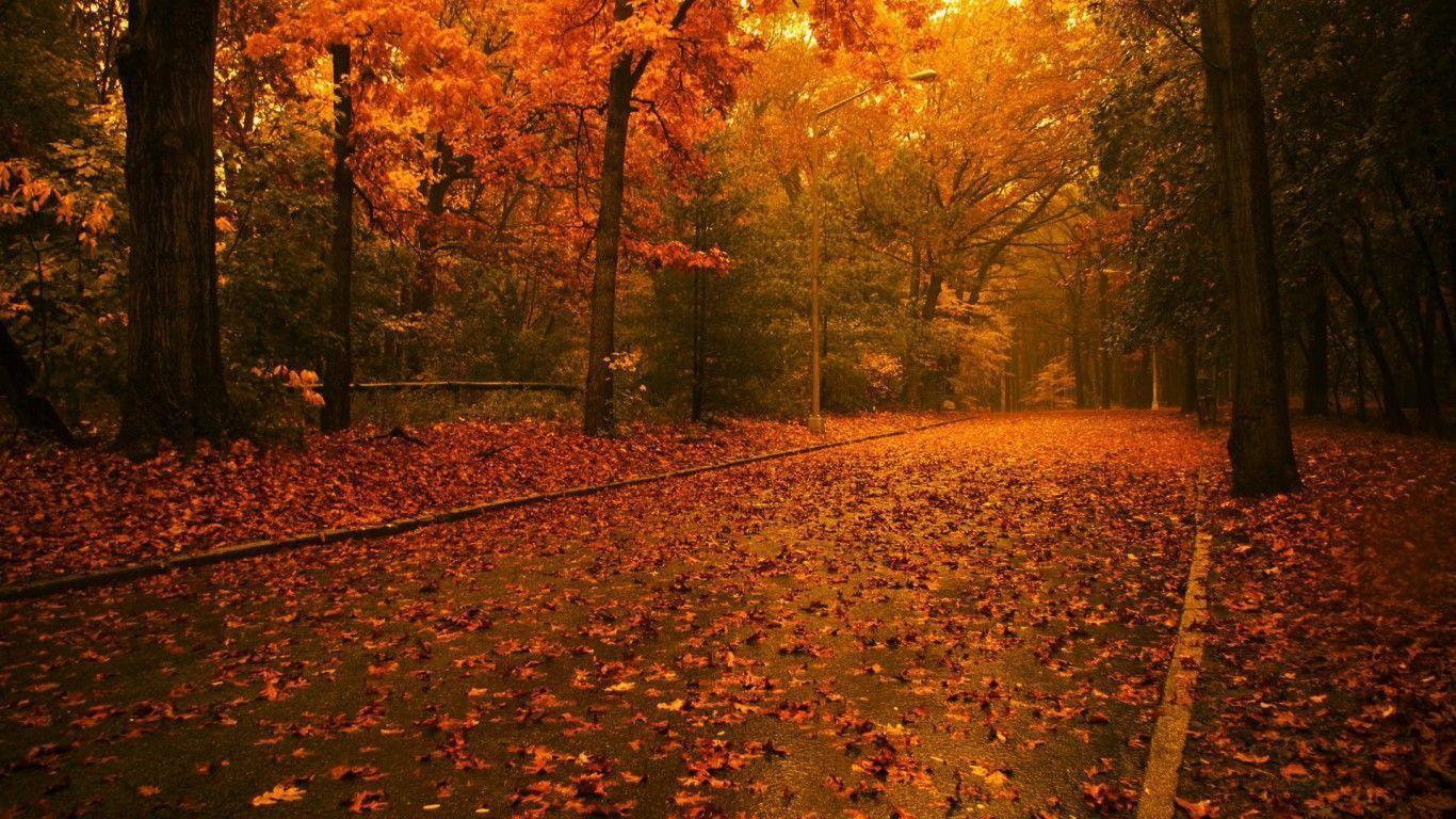 Free Autumn Wallpaper