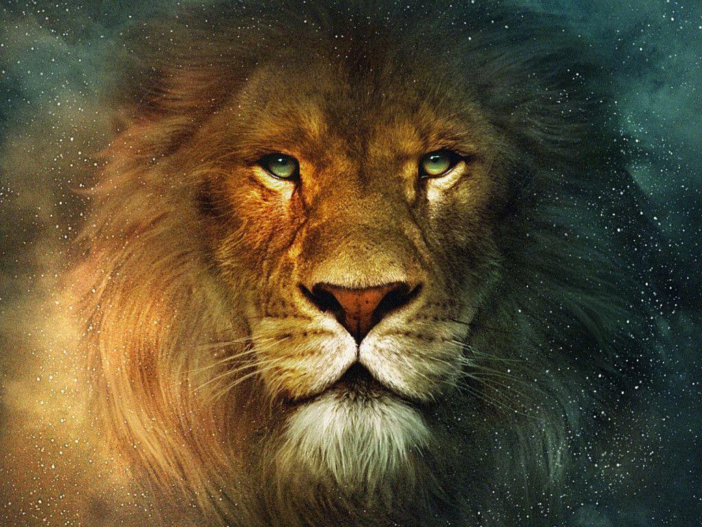 Narnia Lion desktop wallpaper
