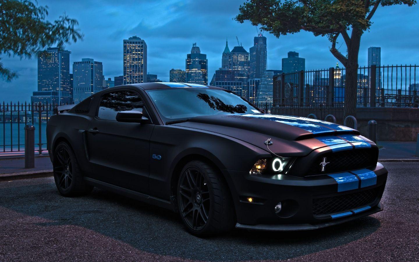 Ford Mustangs Shelby Gt500 Super Snake