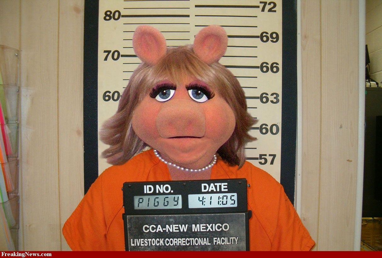 image For > Muppets Miss Piggy Brown Hair