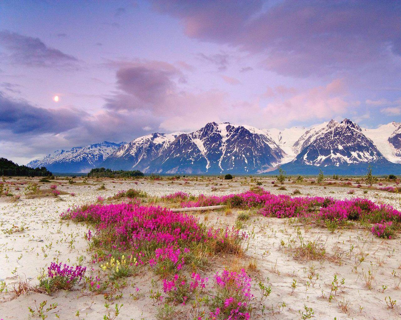 Wallpaper mountain Alaska snow winter 4k Nature 17414