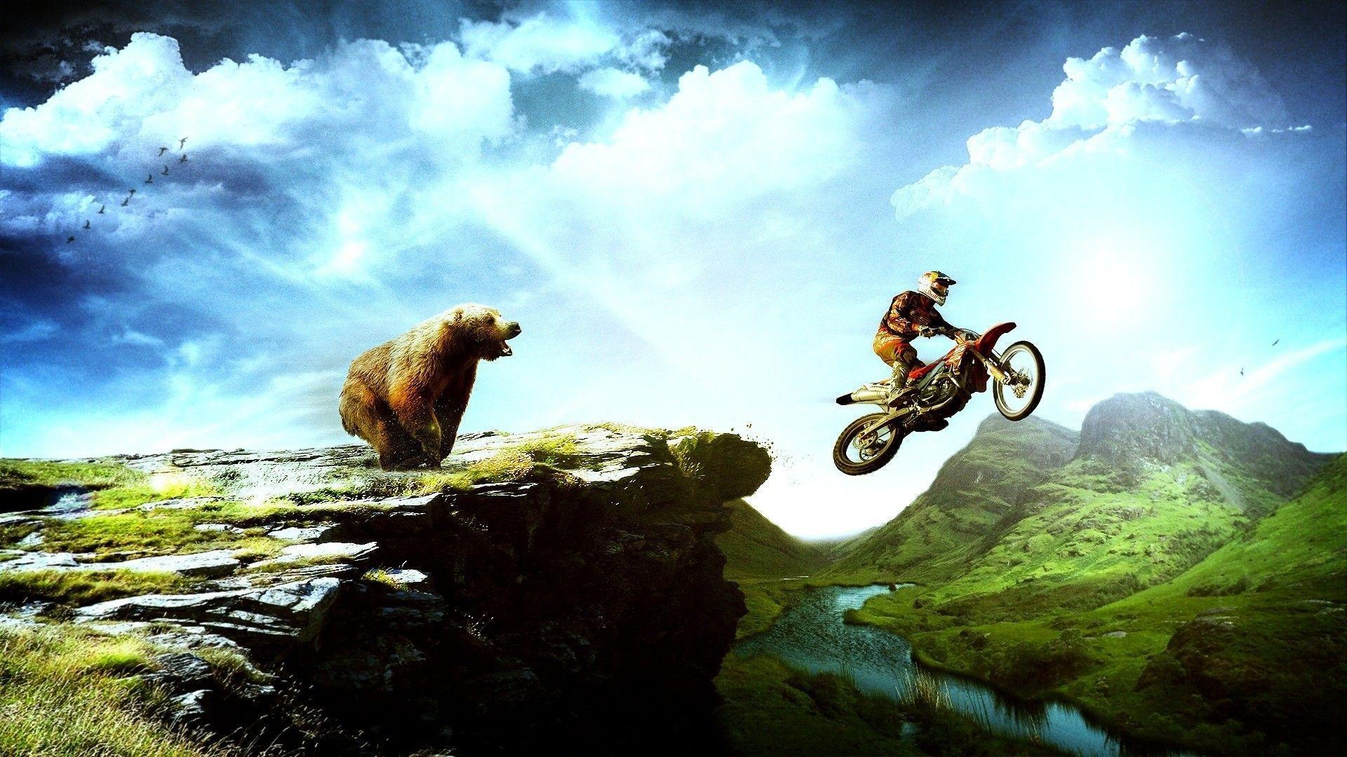 Free Moto Cross Bear Wallpaper, Free Moto Cross Bear HD