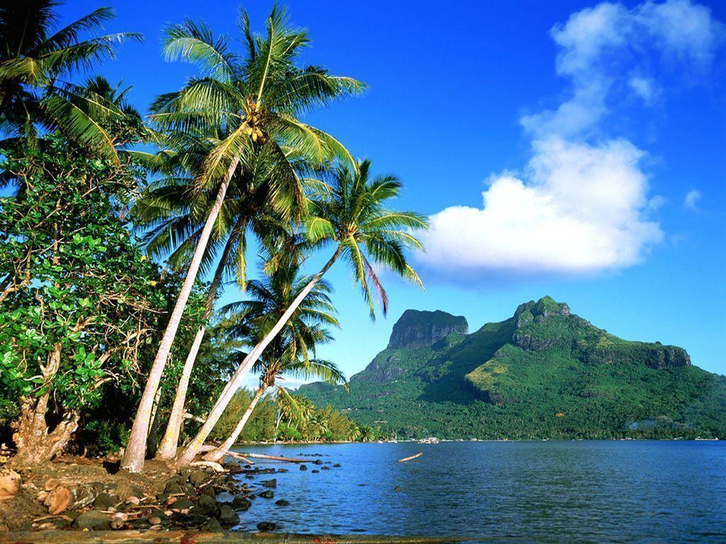 Beach At Night HD Desktop PC Wallpaper Picture HD Wallpaper
