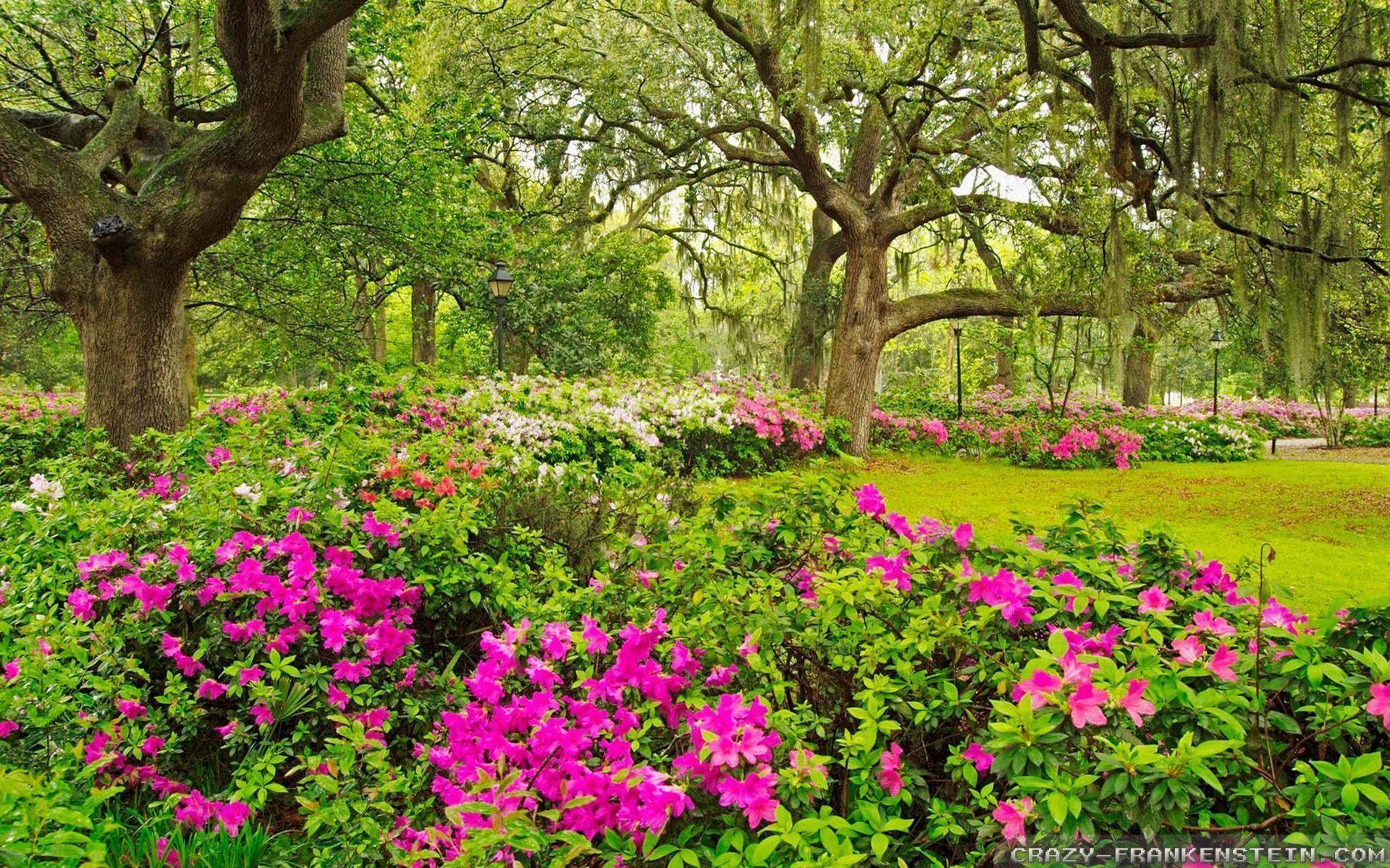 Breathtaking Commanding Flowers Garden Wallpaper, Beautiful