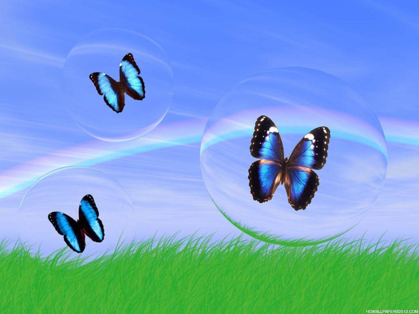 3d Butterfly Wallpapers Wallpaper Cave