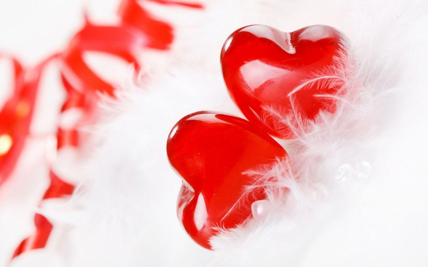 Red Hearts in White Feathers widescreen wallpaper. Wide